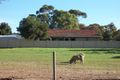 Property photo of 7 Mitchell Street Wagin WA 6315