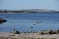 Property photo of 20 Franklin Parade Encounter Bay SA 5211