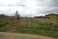 Property photo of 4 Laird Court Macquarie Links NSW 2565