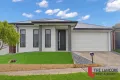 Property photo of 28 Naroon Drive Kalkallo VIC 3064