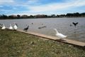 Property photo of 5 Conroy Place Roxburgh Park VIC 3064