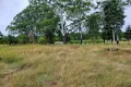 Property photo of 24 William Street Pechey QLD 4352