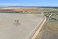 Property photo of 3583 Port Wakefield Highway Lower Light SA 5501