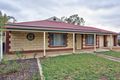 Property photo of 97 Badcoe Road Loxton SA 5333