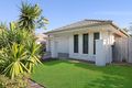 Property photo of 8 Faustina Close Augustine Heights QLD 4300