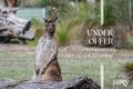 Property photo of 18 Heron Hill Chittering WA 6084