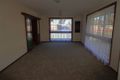 Property photo of 37 Grutzner Avenue Shepparton VIC 3630