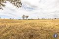 Property photo of 42 Dowling Drive Murringo NSW 2586