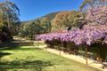 Property photo of 7 Pippin Place Little Hartley NSW 2790