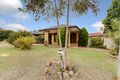 Property photo of 6 Pickett Avenue Minto NSW 2566