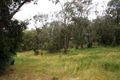 Property photo of 2 Cassinia Place Frankston South VIC 3199