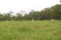 Property photo of 299 Lower Waterloo Road Waterloo QLD 4673