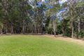 Property photo of 77 Blueberry Drive Black Mountain QLD 4563