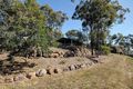 Property photo of 116 Veivers Road Wolffdene QLD 4207