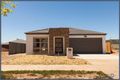 Property photo of 13 Plumwood Street Wright ACT 2611