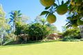 Property photo of 41 Marsilea Road Fernvale QLD 4306