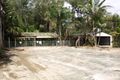 Property photo of 24 Petrel Place Jacobs Well QLD 4208