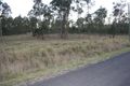 Property photo of 37 Green Gully Road Upper Lockyer QLD 4352