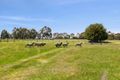 Property photo of 3430 Princes Highway Winchelsea VIC 3241