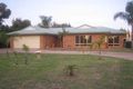 Property photo of 552 Koorlong Avenue Irymple VIC 3498