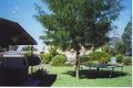 Property photo of 156-158 Jerilderie Street Berrigan NSW 2712