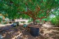 Property photo of 106 Sutherland Street Port Hedland WA 6721