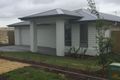 Property photo of 3 Snipe Street Fletcher NSW 2287