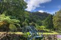 Property photo of 78 Estelle Road Currumbin Valley QLD 4223