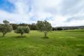 Property photo of 343 Dingo Flat Road Hazelvale WA 6333