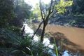 Property photo of LOT 55 Messmate Road Talegalla Weir QLD 4650