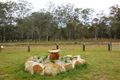 Property photo of 79 Deep Creek Road Inverlaw QLD 4610
