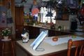 Property photo of 41 Beechwood Avenue Greystanes NSW 2145