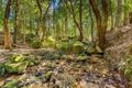 Property photo of 181 Nuninuna Drive Jamberoo NSW 2533