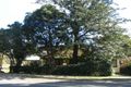 Property photo of 141 Epsom Road Chipping Norton NSW 2170
