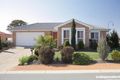 Property photo of 9 Hollingsworth Street Gungahlin ACT 2912