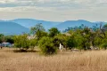 Property photo of 865 Saddletop Road Upper Pilton QLD 4361