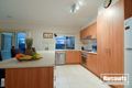 Property photo of 3 Hadley Circuit Narre Warren South VIC 3805