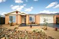 Property photo of 39 Treeby Boulevard Mordialloc VIC 3195