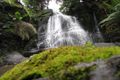 Property photo of 400 Amiets Road Wyelangta VIC 3237
