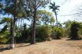 Property photo of 1 Gralow Court Alligator Creek QLD 4740