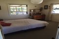 Property photo of 940 Markwell Road Markwell NSW 2423