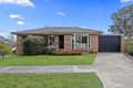 Property photo of 19 Kimba Avenue Frankston VIC 3199