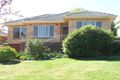 Property photo of 44 White Avenue Kooringal NSW 2650