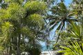 Property photo of 17 Reid Road Wongaling Beach QLD 4852