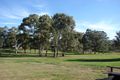 Property photo of 46 Shiraz Street Muswellbrook NSW 2333