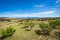 Property photo of 1574 Candelo Wolumla Road Candelo NSW 2550