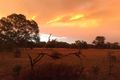 Property photo of 3268 Bendigo-Maryborough Road Laanecoorie VIC 3463