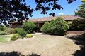 Property photo of 16 Coora Avenue Cootamundra NSW 2590