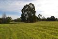 Property photo of 62 Sixth Avenue Kendenup WA 6323