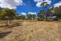 Property photo of 4 Quadrant Street Pingelly WA 6308